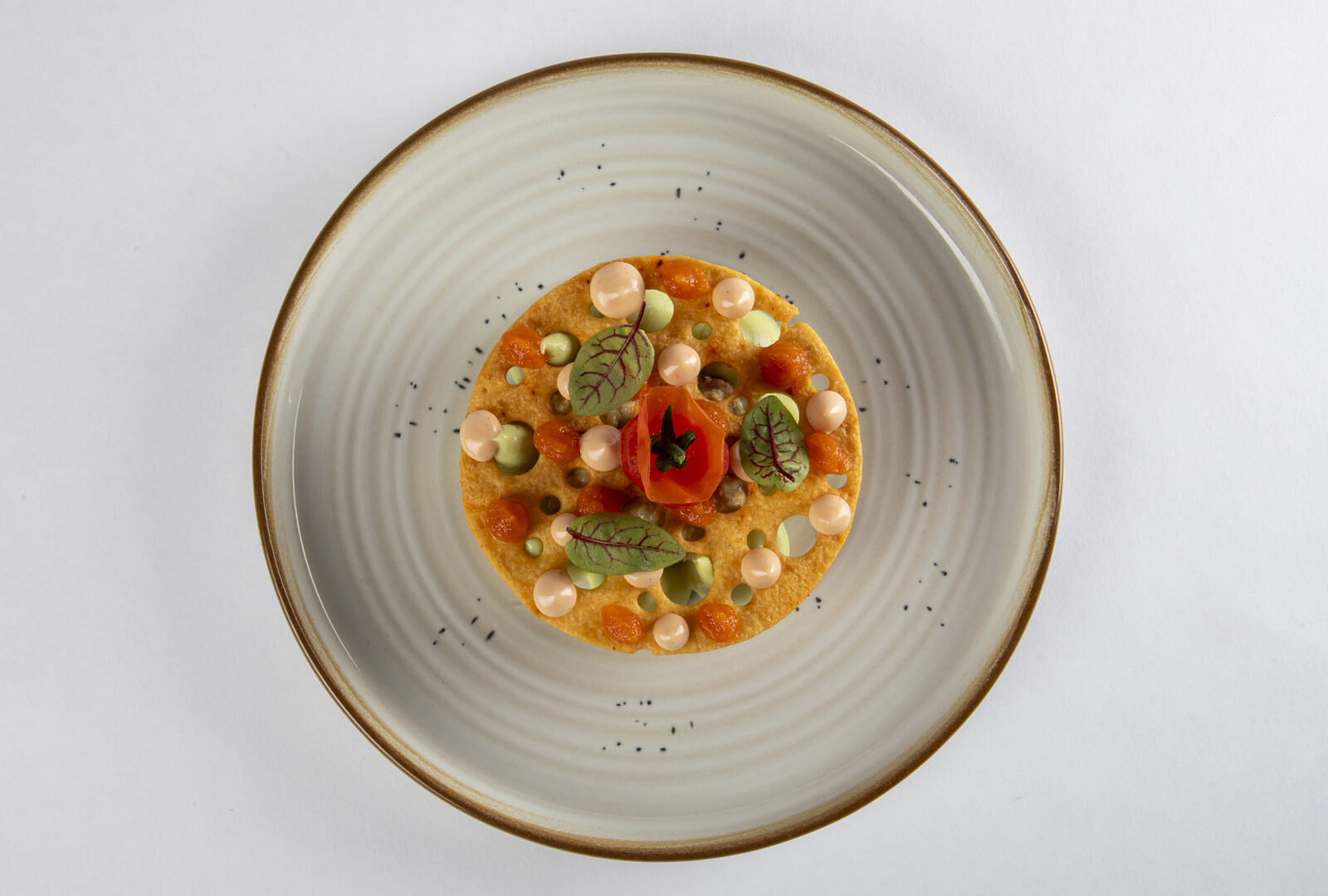 La Belle Etoile Restaurant Gastronomique La Roque Gageac 6415