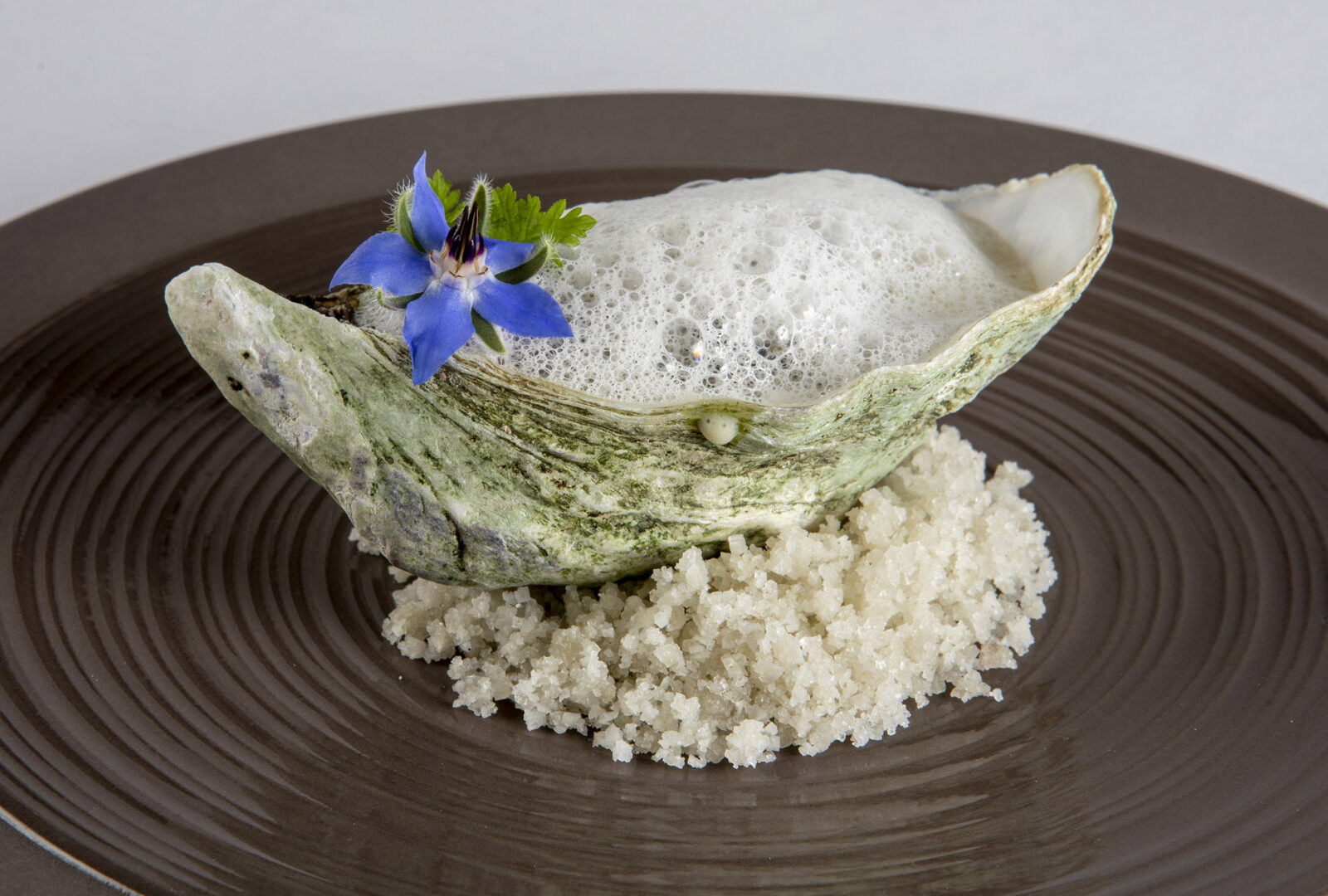 La Belle Etoile Restaurant Gastronomique La Roque Gageac 6460